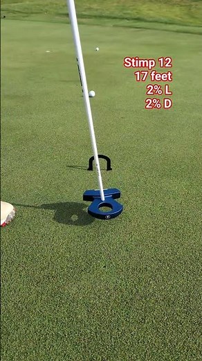 17 feet buckets! #golf #greenreading #golfputting #putting #golftechnique
