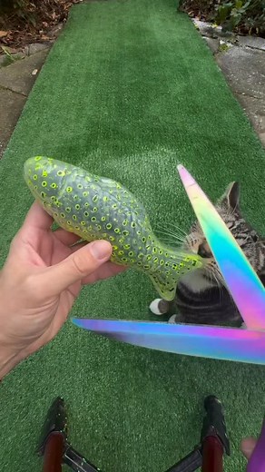 24K views · 318 reactions | #fyp | Decoy Munoz | Facebook