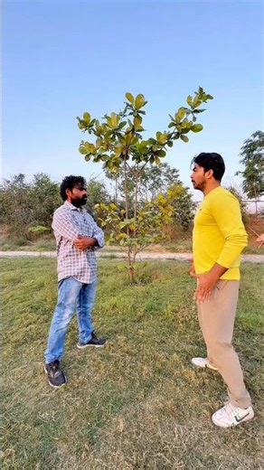 Selfdefense Combo! 💥Learn This Street Self-Defense Technique NOW!” #selfdefence #shorts