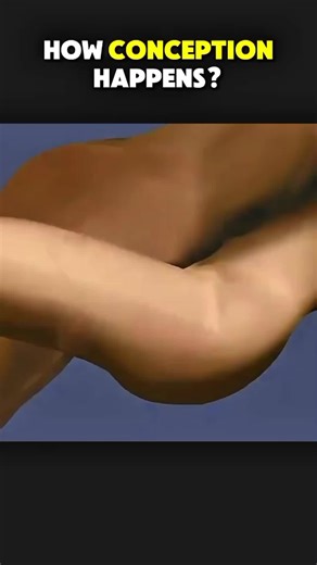 how conception works (3D Animation) #birth #birthprocess #egg