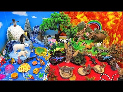 Explore Arctic, Ocean, Forest & Desert Animals 🌍❄️🌊🌳🌵=