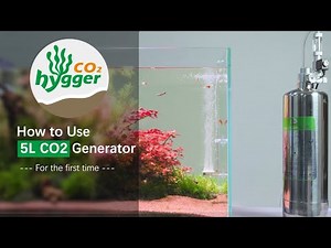 How to Easily Set Up the hygger HC018 CO2 Generator | Step-by-Step Guide