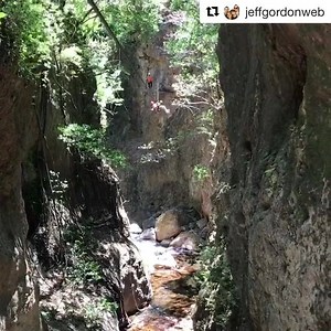 17K views · 989 reactions | Zip line Costa Rica! | Jeff Gordon | Facebook