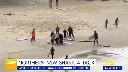 9.6K views · 49 reactions | A teenage boy remains in hospital after he was attacked by a shark while swimming at a beach near the Northern NSW border. #9News | 9 News Gold Coast | Facebook