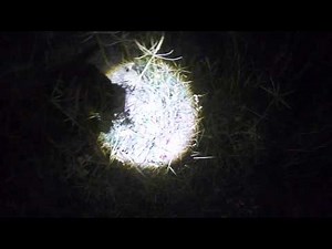 Outrigger Outdoors Red Eye Predator Hunting Light