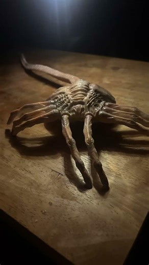 Alien face hugger #alien