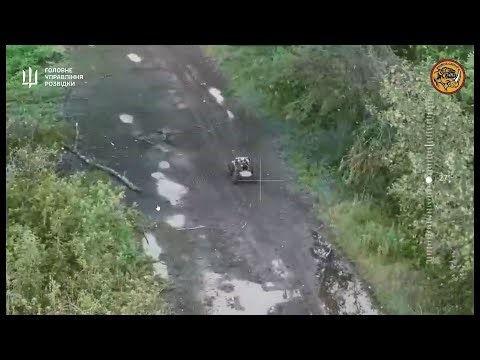 Ukrainian intelligence shows ground robot firing at Russian troops in Sumy Oblast – video