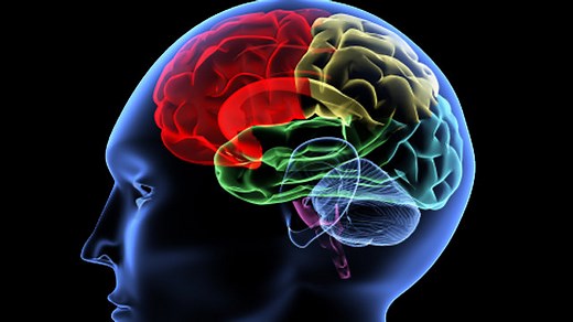 The Amygdala and Unconscious Memories