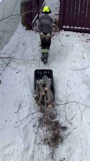 Ice fishing sled as a log hauler #treework
