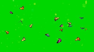 Butterfly, Green Screen, Bat. Free Stock Video