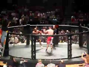 Tim Sylvia vs Ray Mercer KO Fight Video