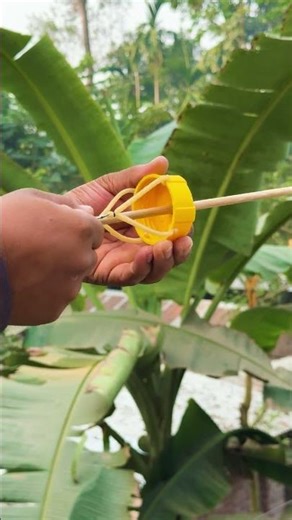 Mini Cap Toys #diy #toys