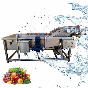 [Hot Item] Seafood Fish Bubble Washing Machine Shrimp Cleaning Machine