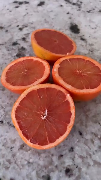 1K views · 38 reactions | Back in stock! The EVO820 citrus attachment allows you to quickly juice oranges, lemons, and limes without peeling the bitter rind. Of course you can juice citrus in the regular juicer too. The attachment is ideal for making citrus juice in a pinch!  ; @beyond.the.taste #citrus #oranges #orangejuice #bloodorange #healthyfood #plantbased #healthylifestyle #detox #detoxjuice #kuvings #juicer #juicing | Kuvings USA | Facebook