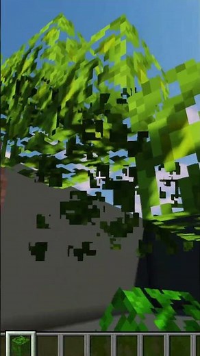 Minecraft Palm Tree🌴#shorts