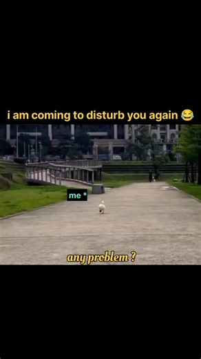 💓💓 on Instagram: "I am coming to disturb you again 😂"