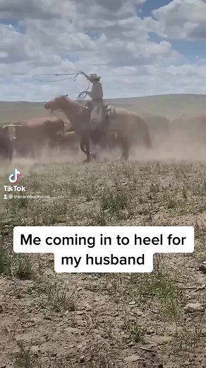 The Rare Buckaroo (@therarebuckaroo)’s videos with original sound - The Rare Buckaroo