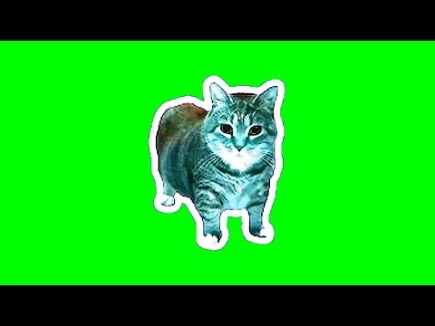 OIIA OIIA Spinning CAT (Slowed)