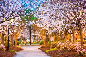 Macon Branch of Raymond James - Macon, GA