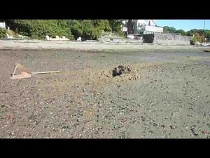 CQR vs Rocna - Hard Sand Setting Comparison