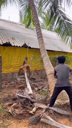 Professional and fast!! Wood cutting skills with a super sharp chain saw machine #sawserkel #teak