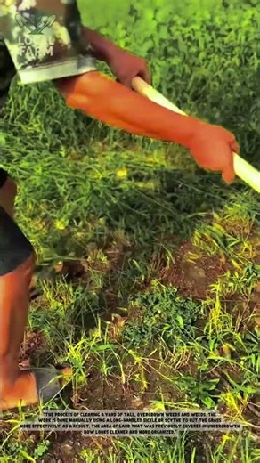 Powerful Brush Cutter Clearing an Overgrown Yard in Minutes!