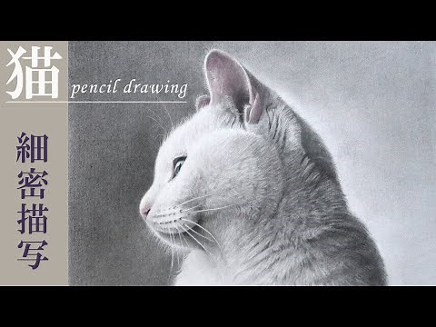【鉛筆画】写実的な猫の描き方/水彩画/デッサン/鉛筆画入門/pencil drawing/water color
