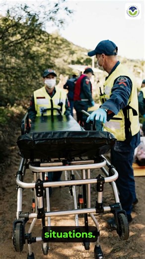 6 Could Cockpits Become Fully Autonomous With Backup Pilots V1