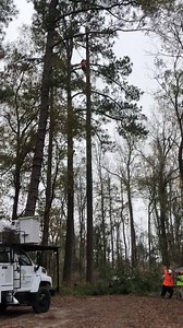 Quality in Every Cut‼️Call (843)599-8821 to schedule your FREE Estimate | RJ's Tree Service, LLC | Facebook