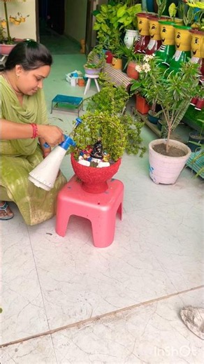 #gardening #motivation #truline #ytshorts