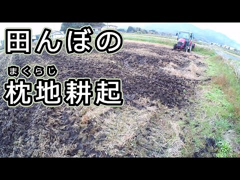 [Pillowing the headland in autumn] Ploughing the headland of a rice field becomes deeper with rep...