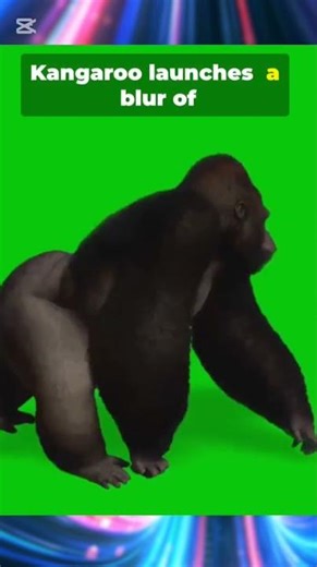 Red Kangaroo Takes on Silverback Gorilla (Shocking Ending!)