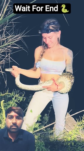 Python bites Tay!🐍🐍🐍