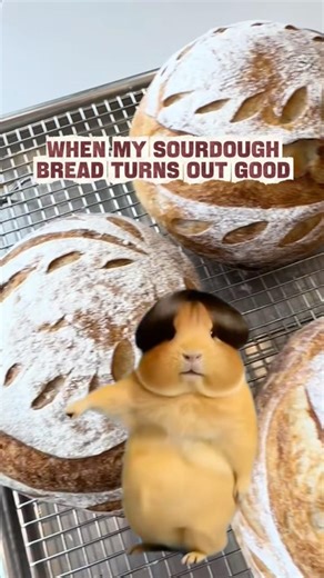 Sourdough- did I make you smile? #sourdough #memes