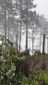 1K views · 13K reactions | El frente frío estaba fuerte ayer en el Volcán Acatenango, no logramos hacer cumbre por el viento, cuando bajamos al conejo así nos recibió. Para los que nos gusta este clima lo disfrutamos, siempre con precaución. #acatenango #vivelaaventura #viajes #volcano #montaña #guatelinda | Verde Aventura Gt | Facebook