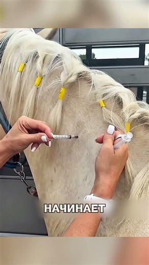 Умный доктор создал НАСТОЯЩЕЕ ЧУДО😲🐍💉