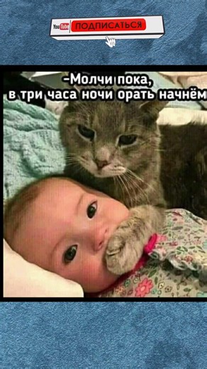 #жиза #юмор #мем #прикол #шуточное #рекомендации