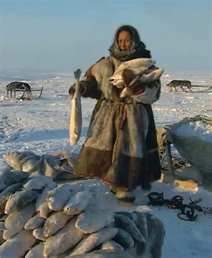 #usa #inuit #eskimo #fyp #tvshows | eskimo