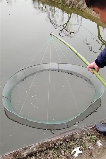 292K views · 482 reactions | The perfect fishing net | Trend Rush | Facebook