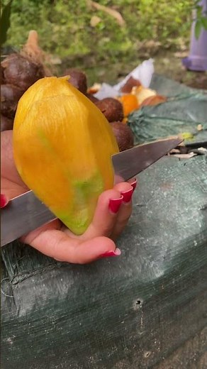 Peeling Mango #mangofruit