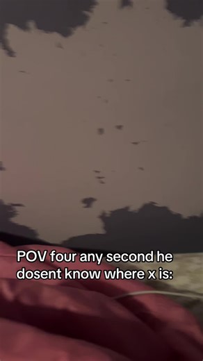 X (@fictionkin.bfb)’s videos with Wheres rick - .