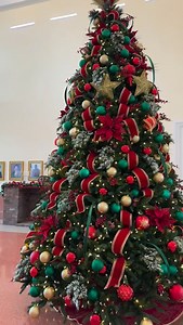 9.3K views · 2.1K reactions | Since I did not do any red in my home this year, here are a few red/traditional designs from years past. #christmastreedesigner #christmasdecor #tips #Xmas | Deck.your.decor | Facebook