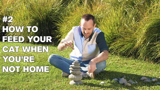 83K views · 775 reactions | Joseph's Machines on Reels | Facebook