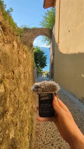 Field recording Sony m10 - cicadas in Italy