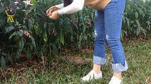 Watch Decorative Garden Fence on Amazon Live