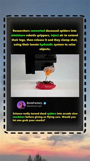 Why Scientists turned DEAD Spiders into ROBOTS! 🕷️ #Science #Tech #Nature