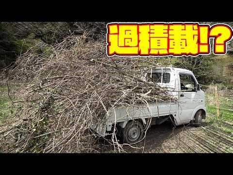 [Mountain Restoration Project #100] Have you ever seen a mini-truck like this?! Transporting over...