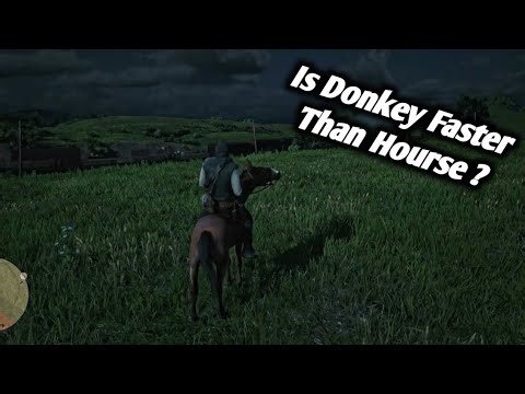 RDR2 Donkey Speed Test | Is Donkey Faster Than Horse? (Red Dead Redemption 2)