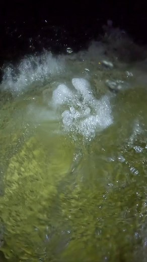 Labi-labi itu menjadi tanda ada ikan di lubuk sungai | Cariikan