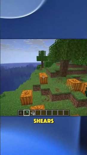 How to Find String in Minecraft